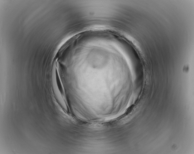 X0000090631473200708141424