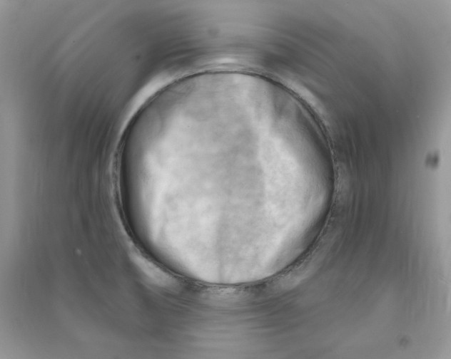 X0000090631474200708141424