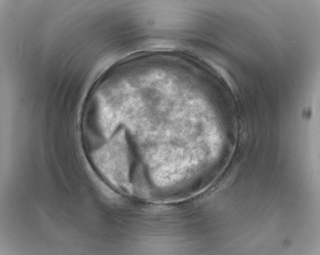 X0000090631475200708141424