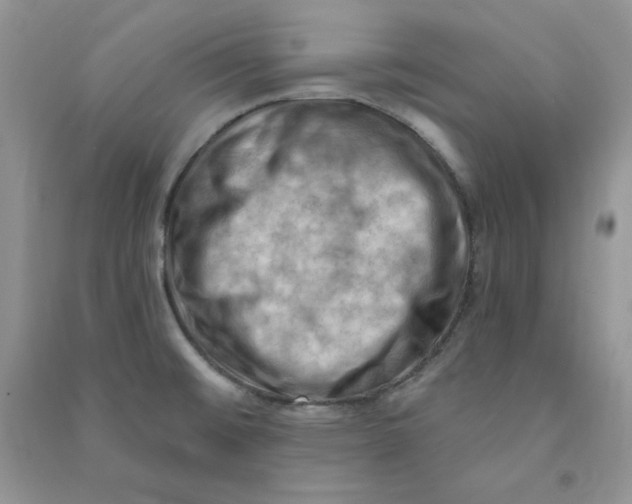 X0000090631476200708141423