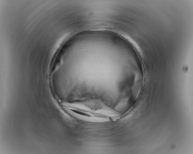 X0000090631477200708141423