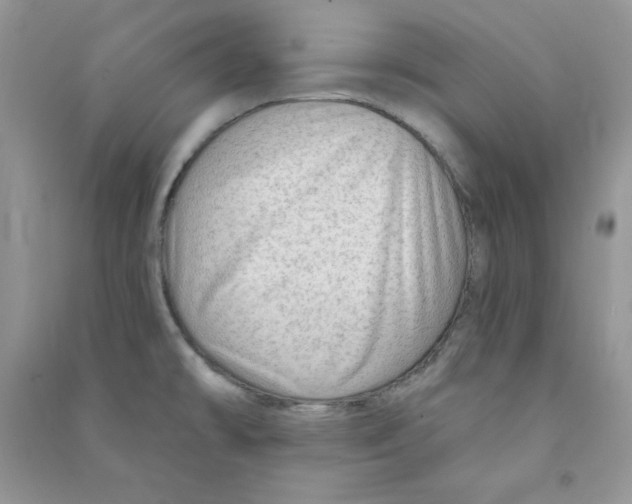 X0000090631478200708141423