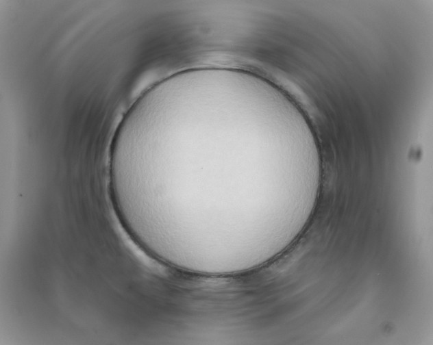 X0000090631479200708141423