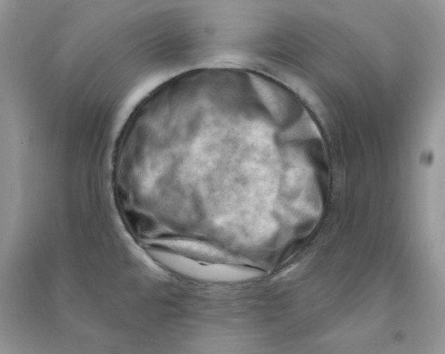 X0000090631480200708141423