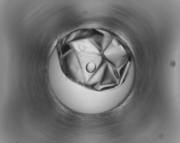 X0000090631481200708141423