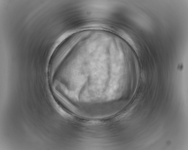 X0000090631482200708141423