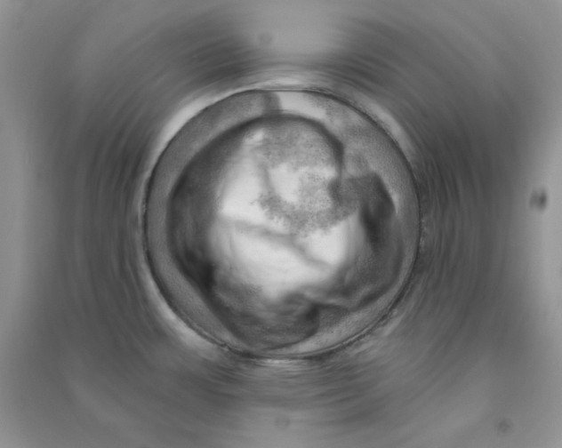 X0000090631483200708141423