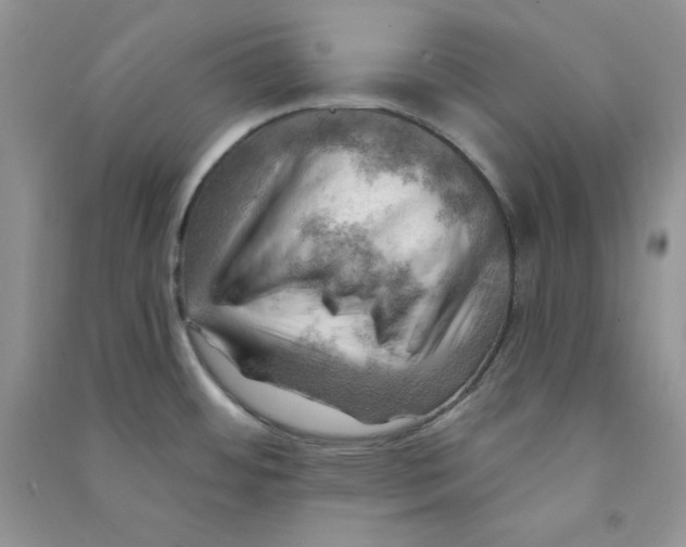 X0000090631484200708141423