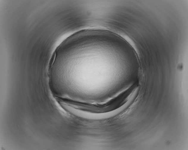 X0000090631485200708141423