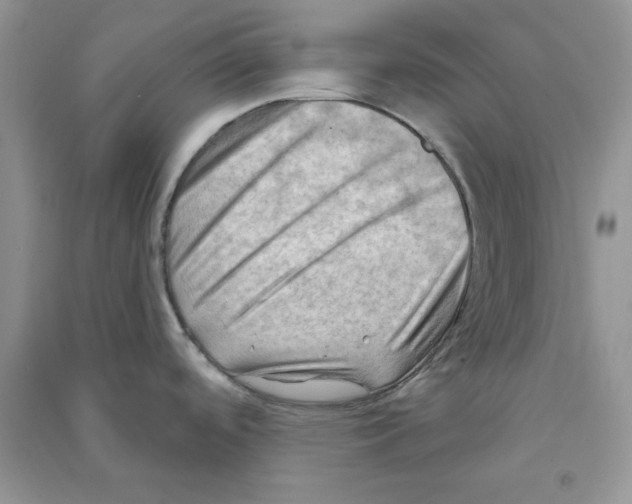 X0000090631488200708141423