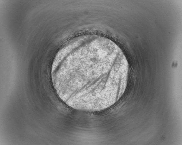 X0000090631489200708141422