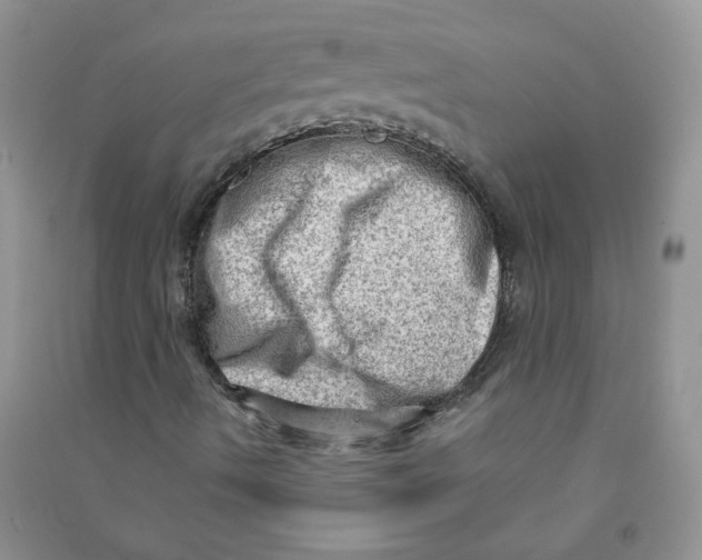 X0000090631490200708141422