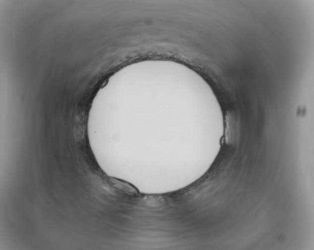 X0000090631491200708141422