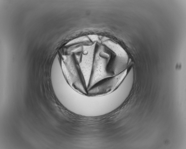 X0000090631492200708141422