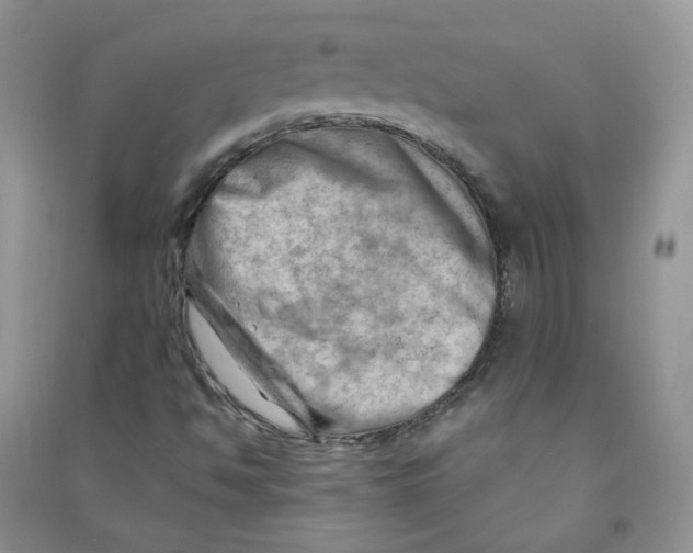 X0000090631494200708141422