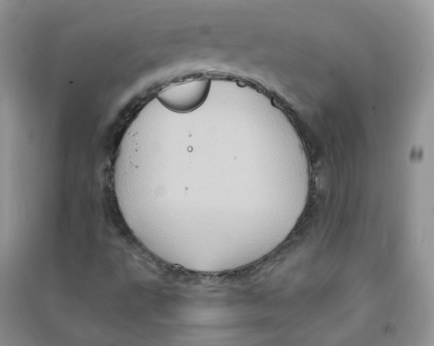 X0000090631495200708141422