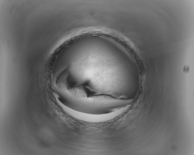 X0000090631496200708141422