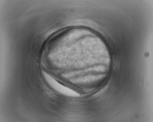 X0000090631497200708141422