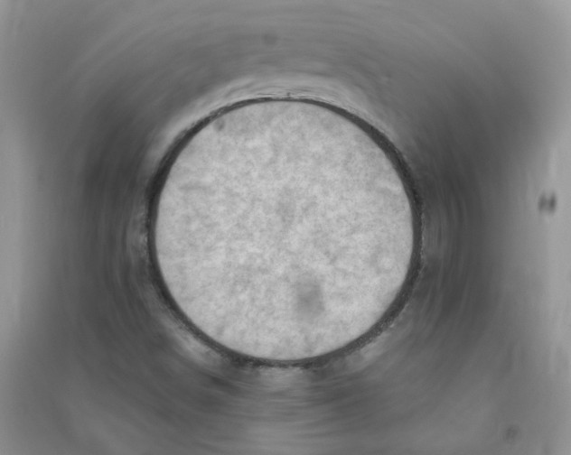 X0000090631498200708141423