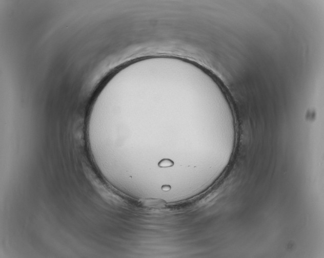 X0000090631499200708141423