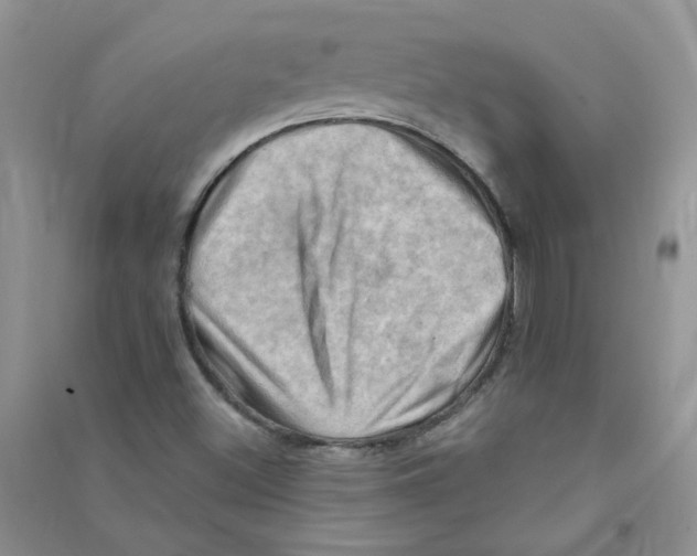 X0000090631500200708141423