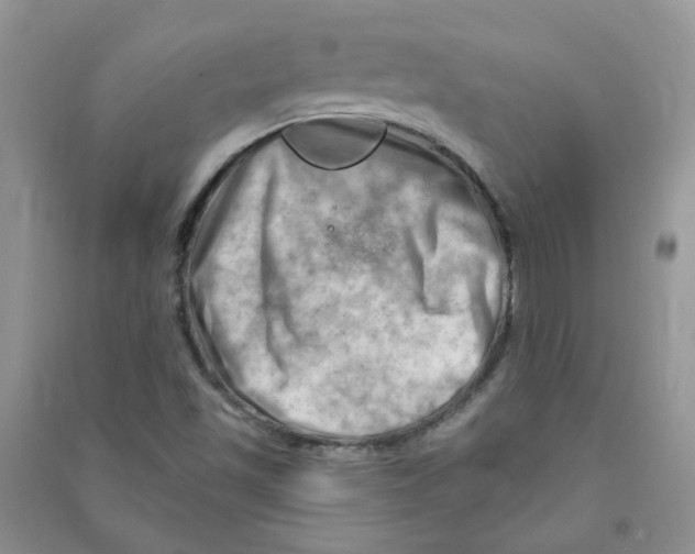 X0000090631501200708141423