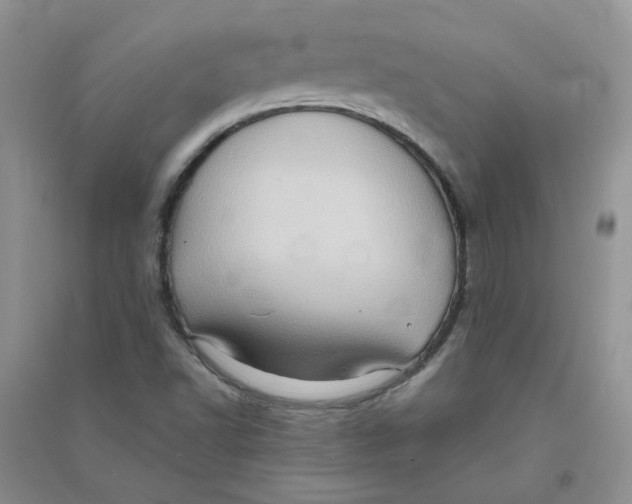 X0000090631502200708141423