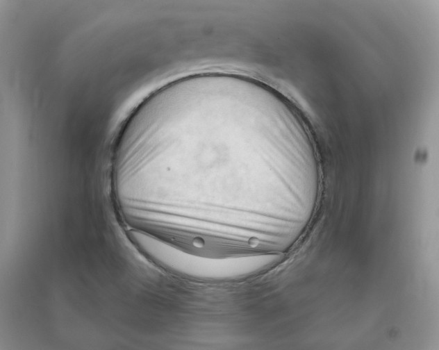 X0000090631504200708141423