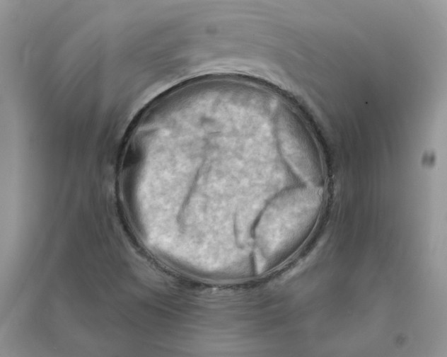 X0000090631505200708141423