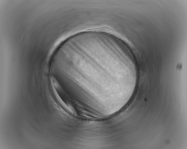 X0000090631506200708141423