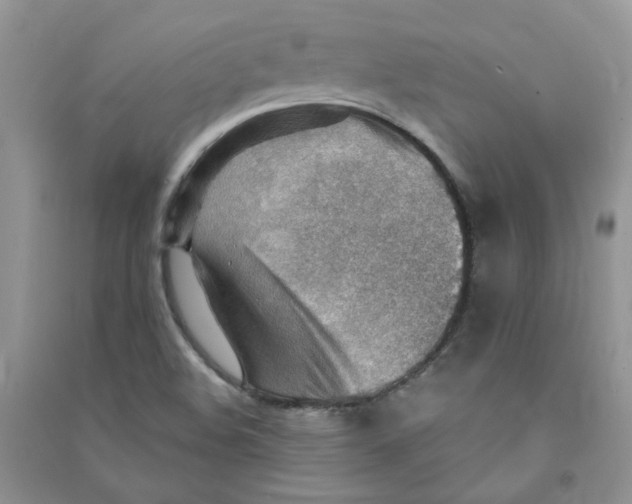 X0000090631508200708141423