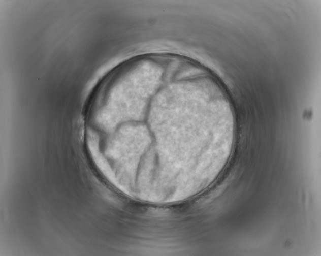 X0000090631509200708141423