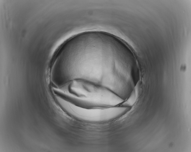 X0000090631510200708141423