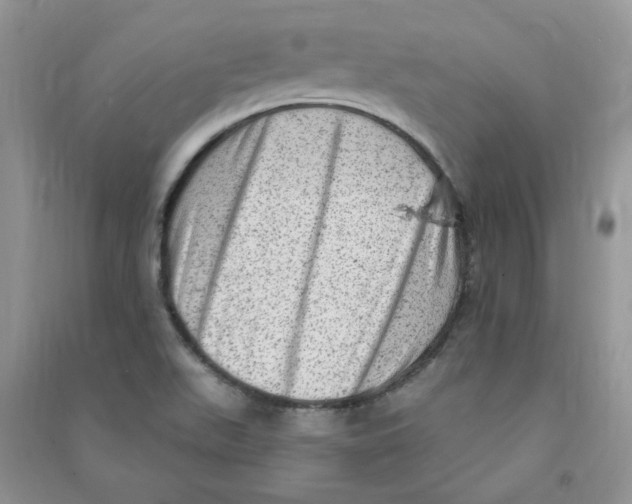 X0000090631511200708141423