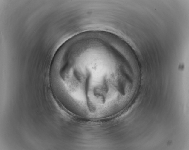 X0000090631513200708141423