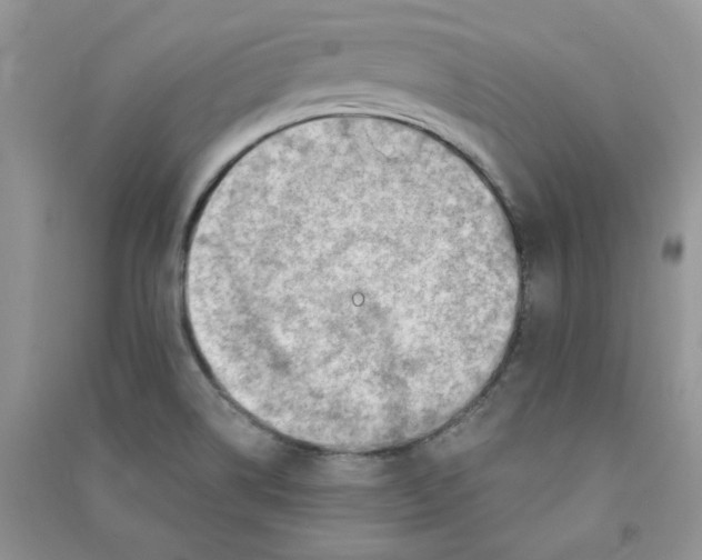 X0000090631514200708141423