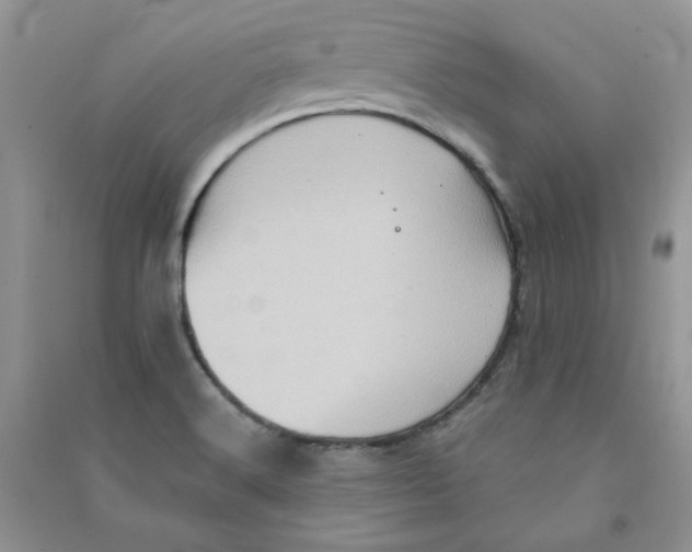 X0000090631516200708141423