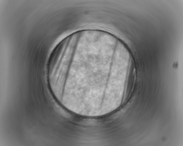 X0000090631517200708141423