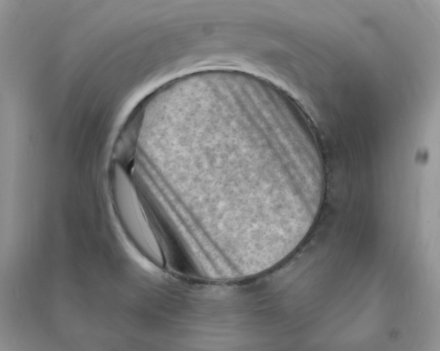 X0000090631519200708141423