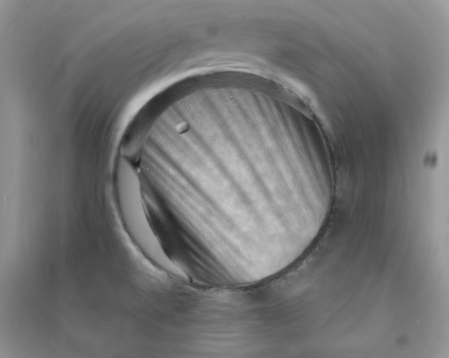 X0000090631520200708141423