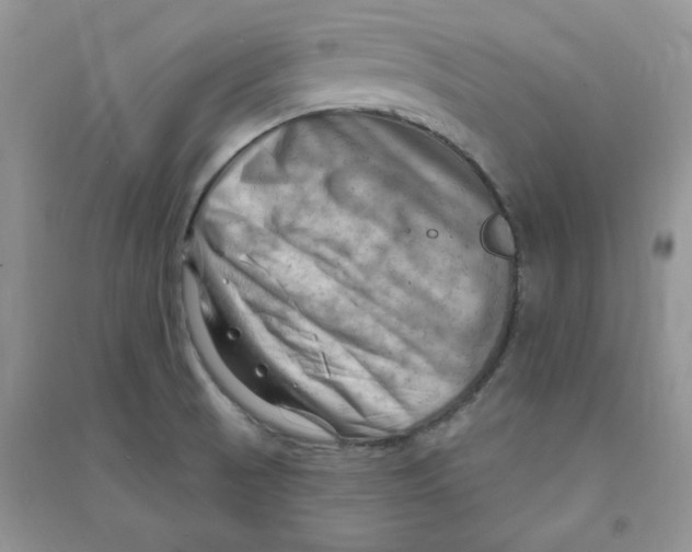 X0000090631521200708141423