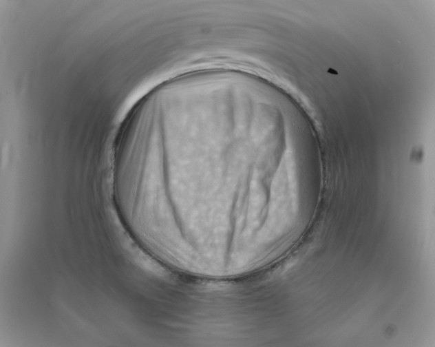 X0000090631522200708141423