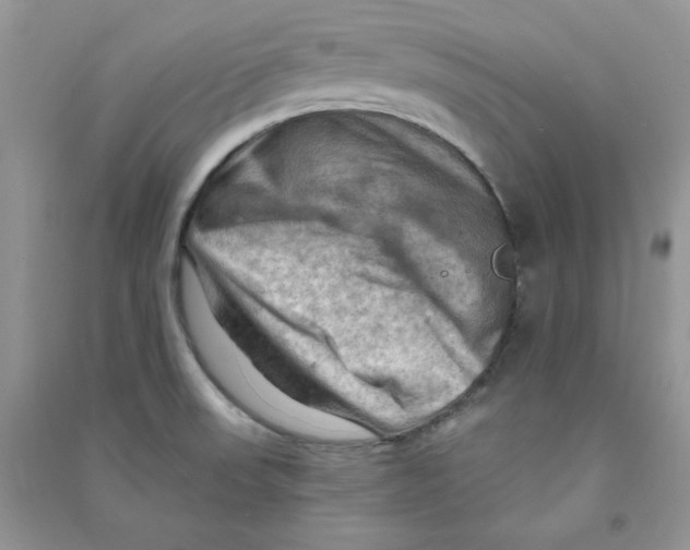 X0000090631523200708141423