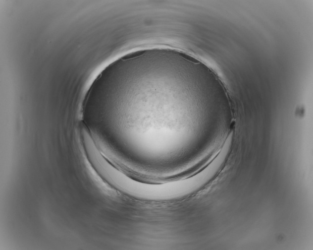 X0000090631524200708141423
