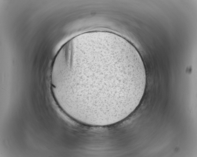 X0000090631526200708141423