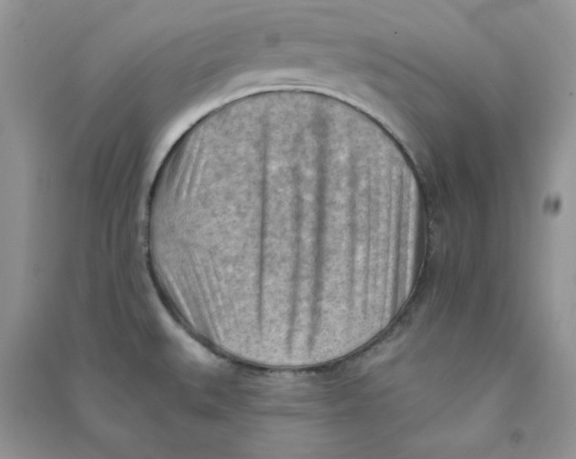 X0000090631527200708141423