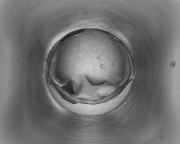 X0000090631528200708141423