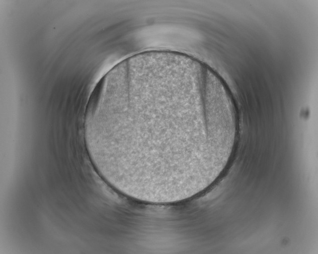 X0000090631529200708141423