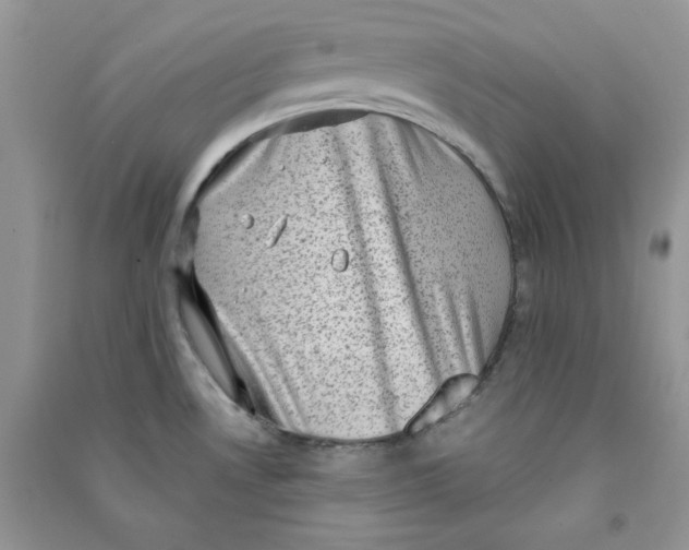 X0000090631530200708141423