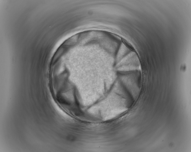 X0000090631531200708141423